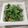 めぐ＊ぴぃ's cooksnap of when they made 納豆春菊ごはん.