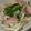 たべたいち's cooksnap of when they made レンジで簡単かぶとハムのバター炒め.