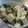 ゆりYO船長's cooksnap of when they made 熱々☆ブロッコリー豆腐.