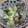 ももまめ's cooksnap of when they made あさりと豆腐の酒蒸し煮.