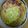 おがってぃ♀'s cooksnap of when they made アボカドチーズケーキ☆ベジスイーツ.