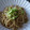 スタイリッシュママ's cooksnap of when they made 和風 焼きそば.