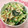 ★しょーこ★'s cooksnap of when they made 大根と納豆のマヨぽんサラダ♪.