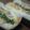 さのエモン's cooksnap of when they made 基本のパン生地（卵なし）.