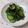 m@n@'s cooksnap of when they made 塩昆布で　簡単きゅうりのお漬物.