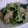 メイコはん。's cooksnap of when they made ターツァイのオイスターソース炒め！.