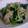 メイコはん。's cooksnap of when they made ターツァイのオイスターソース炒め！.