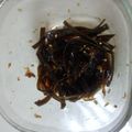 フレンチジャスミン's cooksnap of when they made ピリ辛昆布.