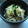 ☆いもいも☆'s cooksnap of when they made みつばと切り干し大根和え.