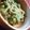 羽尼うに's cooksnap of when they made いんげんとしめじのピリ辛ゴマ和え.