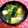 けんころざうるす's cooksnap of when they made レタスでお吸い物の卵とじ.