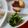 ちゃるるん's cooksnap of when they made すぐ出来るカブのお漬物☆★.