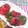 HappyMd's cooksnap of when they made 丸ごと！ピーマン.