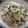 春茶丸's cooksnap of when they made パラパラ！納豆野沢菜チャーハン☆.