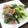 ＲＫまま's cooksnap of when they made 簡単!!砂糖不使用♪はちみつで胡麻和え.