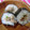 るらちゃん's cooksnap of when they made ちょこっと巻き寿司.