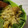 紅葉ｙ's cooksnap of when they made ★ちくわのカレーツナマヨ和え★.