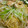 ★ダラス★'s cooksnap of when they made 柚胡椒の和風ペペロンチーノ.
