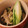 rakuen's cooksnap of when they made 蕾菜とエリンギの炒めもの.