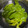 ぽろっとＱちゃん's cooksnap of when they made めかぶの下ごしらえ.