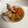 クックTGQ3NY☆'s cooksnap of when they made 圧力鍋で手羽中とじゃがいものさっと煮.