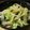 Risoa 51's cooksnap of when they made たくあんサラダ.