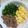 びっぐぷー's cooksnap of when they made 三色丼.
