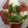 maru3110's cooksnap of when they made やみつき納豆とろろまぐろ丼.