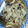 kanon0208's cooksnap of when they made きのこの和風マリネ.