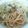 あるぺじおん's cooksnap of when they made 辛くない♪梅と玉ねぎの納豆パスタ.