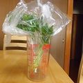 バカの壁's cooksnap of when they made 三つ葉の保存方法.