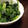 サトモユリア's cooksnap of when they made ほうれん草のごま和え.