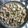 あぽろ's cooksnap of when they made ご飯にあう〜♪たけのこと鶏肉の甘辛炒め.