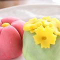 あきみみ's cooksnap of when they made 薄切り餅でねりきり.