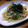 ♫♬ﾘﾝ♬♫'s cooksnap of when they made 簡単☆ねぎ・きのこ・ツナの和風パスタ☆.