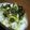 ju_10's cooksnap of when they made 白菜の和えるだけのサラダ✿.