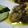 yukinocafe's cooksnap of when they made 牡蠣のオイル漬けカレー風味.