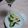 ミリラム's cooksnap of when they made ワインに合わせてゴーヤ＆きゅうりピクルス.