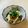いなばっくす☆'s cooksnap of when they made 切って混ぜる！！なめこと山芋のポン酢和え.