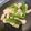 hareharu19's cooksnap of when they made ヤゲン軟骨とししとうの炒めもの.