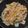 梨瀬かぁか's cooksnap of when they made 新玉ねぎとベーコンのバター醤油炒め.