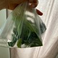 みるく茶's cooksnap of when they made ブロッコリーの洗い方.
