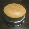 こうめ24's cooksnap of when they made ふんわり＊ココアスポンジ.