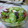 まぶたん's cooksnap of when they made ✿✿タコときゅうりのらっきょ酢和え✿✿.