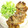 フルラン's cooksnap of when they made いつもと違う！豚の生姜焼き.