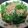 ぱなしぇ's cooksnap of when they made 小松菜とじゃこのサラダ.