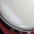 ssみん's cooksnap of when they made 豆腐のセミフレッド風アイス.
