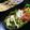 キャシーキャサリン's cooksnap of when they made 辛しマヨネーズで食べるソース焼きそば.