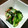 イロピリン's cooksnap of when they made きゅうりとわかめと生姜の和え物。.