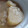 ユーロン's cooksnap of when they made ほくほく♪とろとろ♪ジャガイモの煮物.